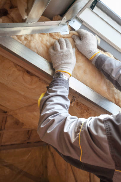 Best Commercial Insulation in Brookfield, MO