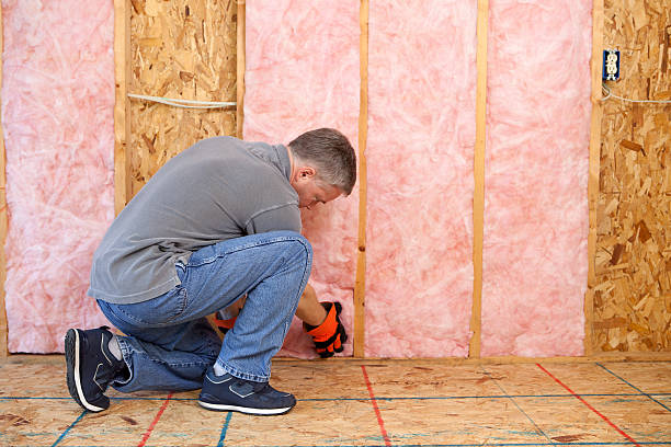 Best Insulation Maintenance and Repair in Brookfield, MO